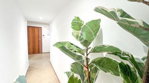 Photo 3 of Flat for sale in Av. del Primat Reig, Trinitat,  Valencia Capital
