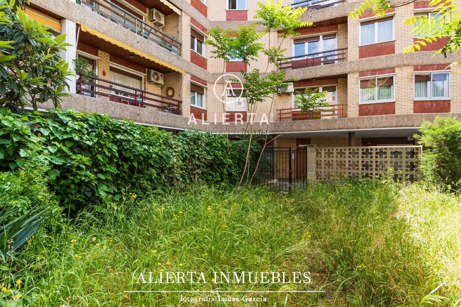 Vista exterior de Casa o chalet en venta en Zaragoza con Calefacción y Terraza