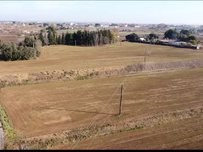 Rural land for sale in Partida Boixadors 160
