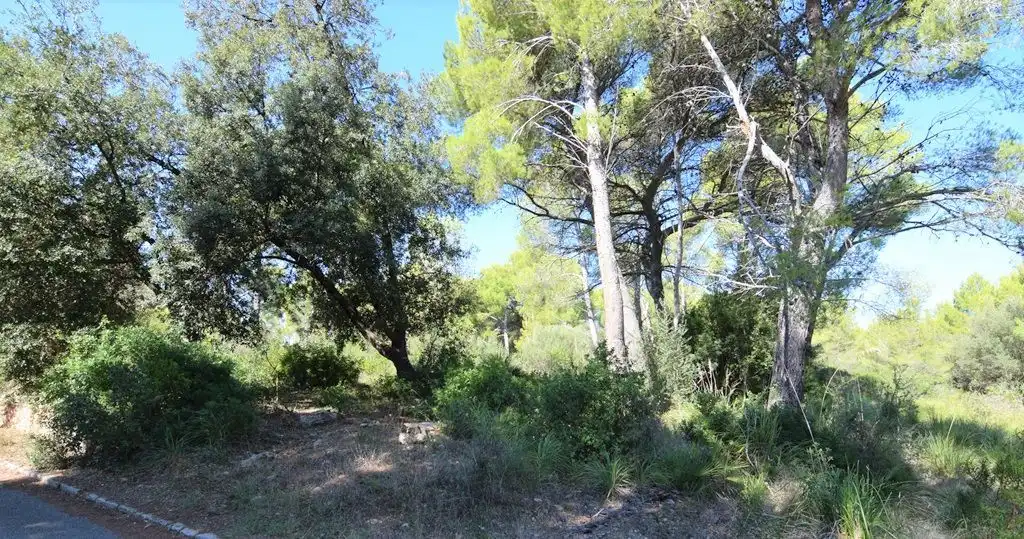 Residential land for sale in Betlem, imagen 4