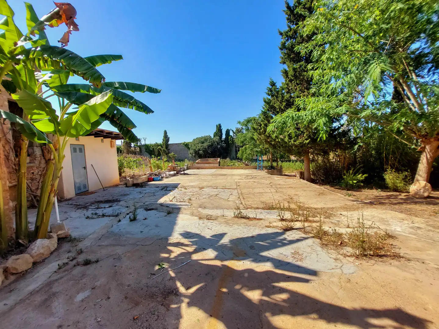 Finca rústica en venda en Felanitx amb Traster