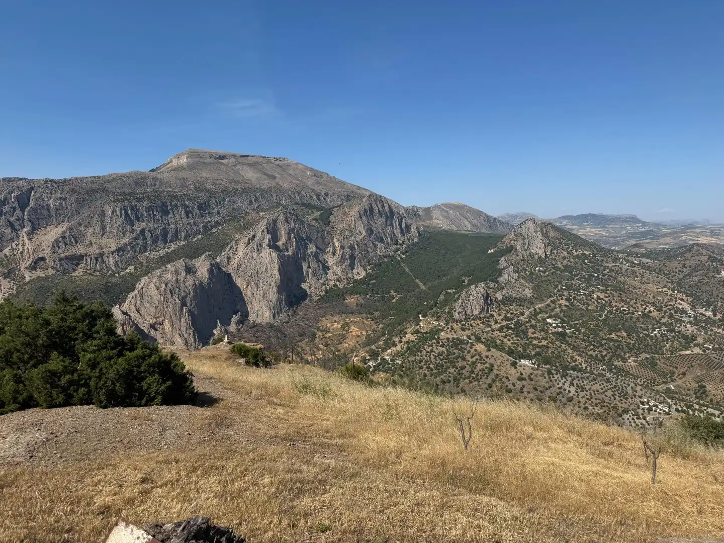 Vista exterior de Finca rústica en venta en Ardales con Jardín privado y Terraza