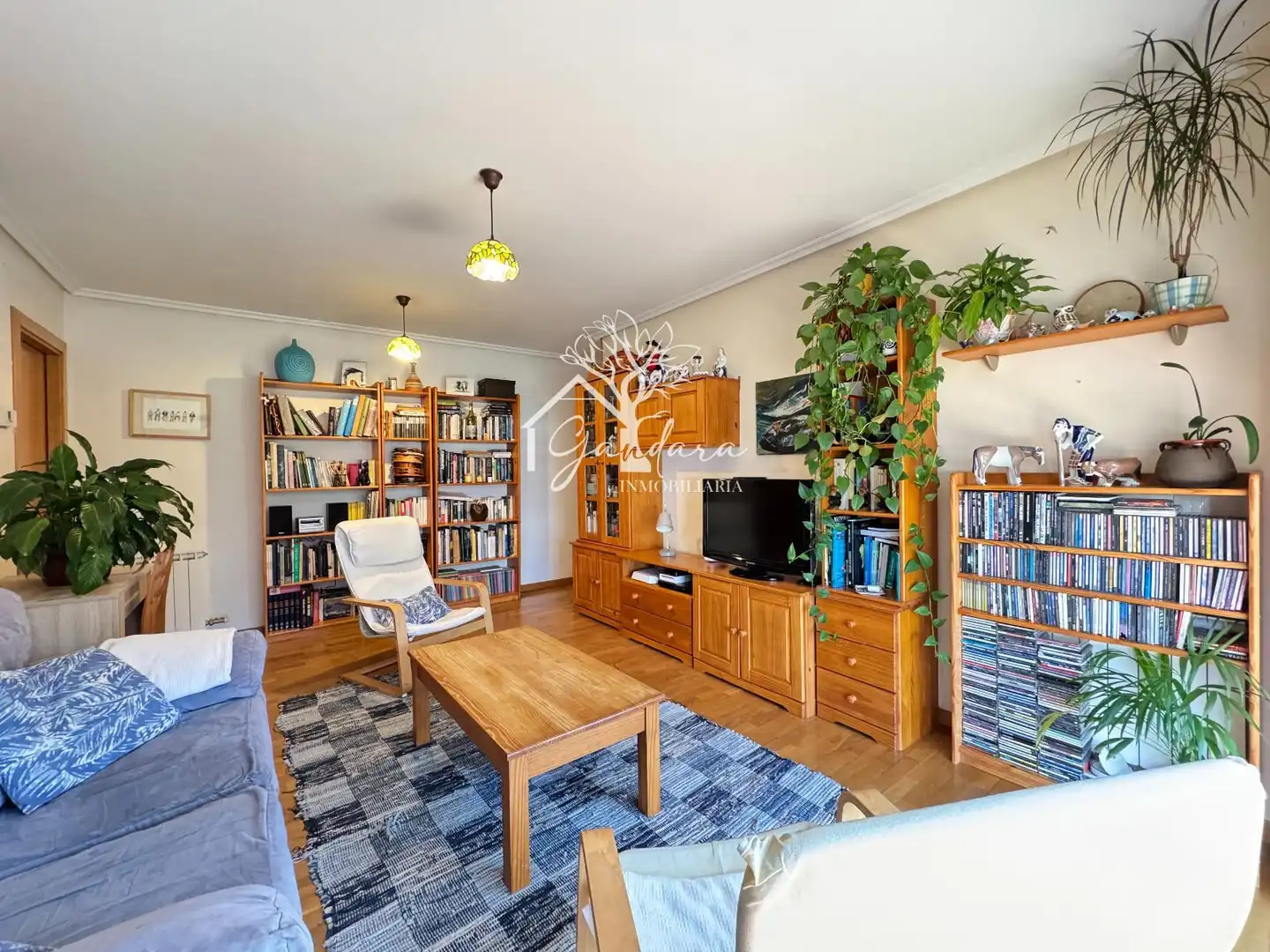 Living room of Flat for sale in A Gándara