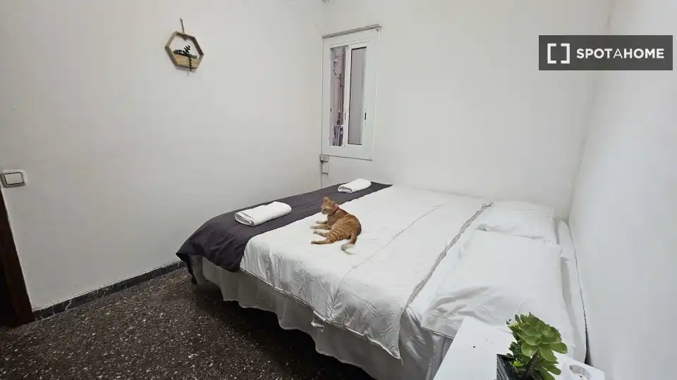 Habitación en Centre
