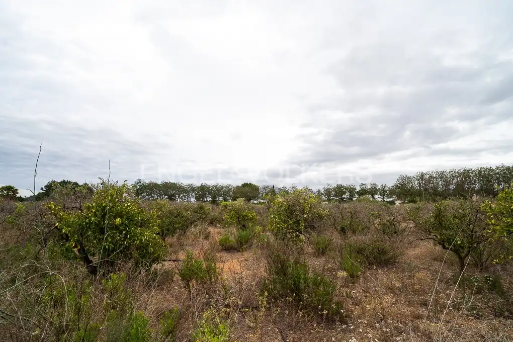 Terrenys i solars en venda a Ondara, imagen 8