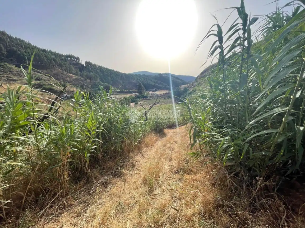 Terreno en venta en Gáldar