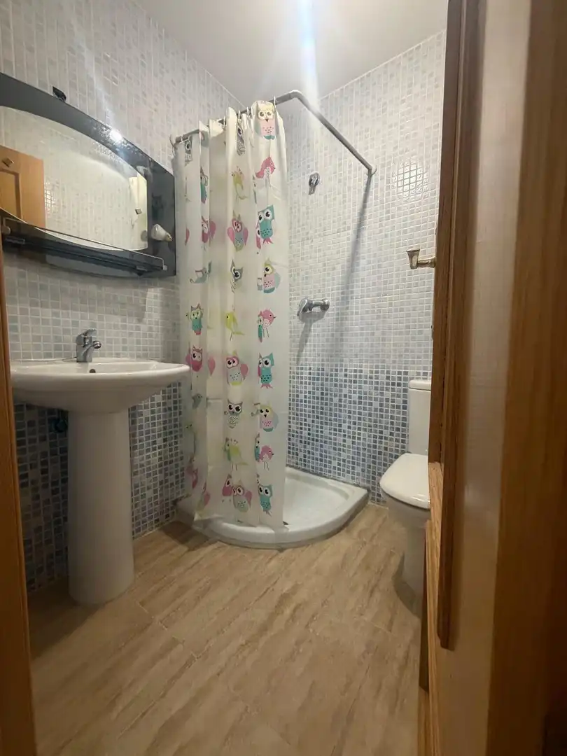 Piso con ascensor en venta en Camino Camino Tocenaque, imagen 19