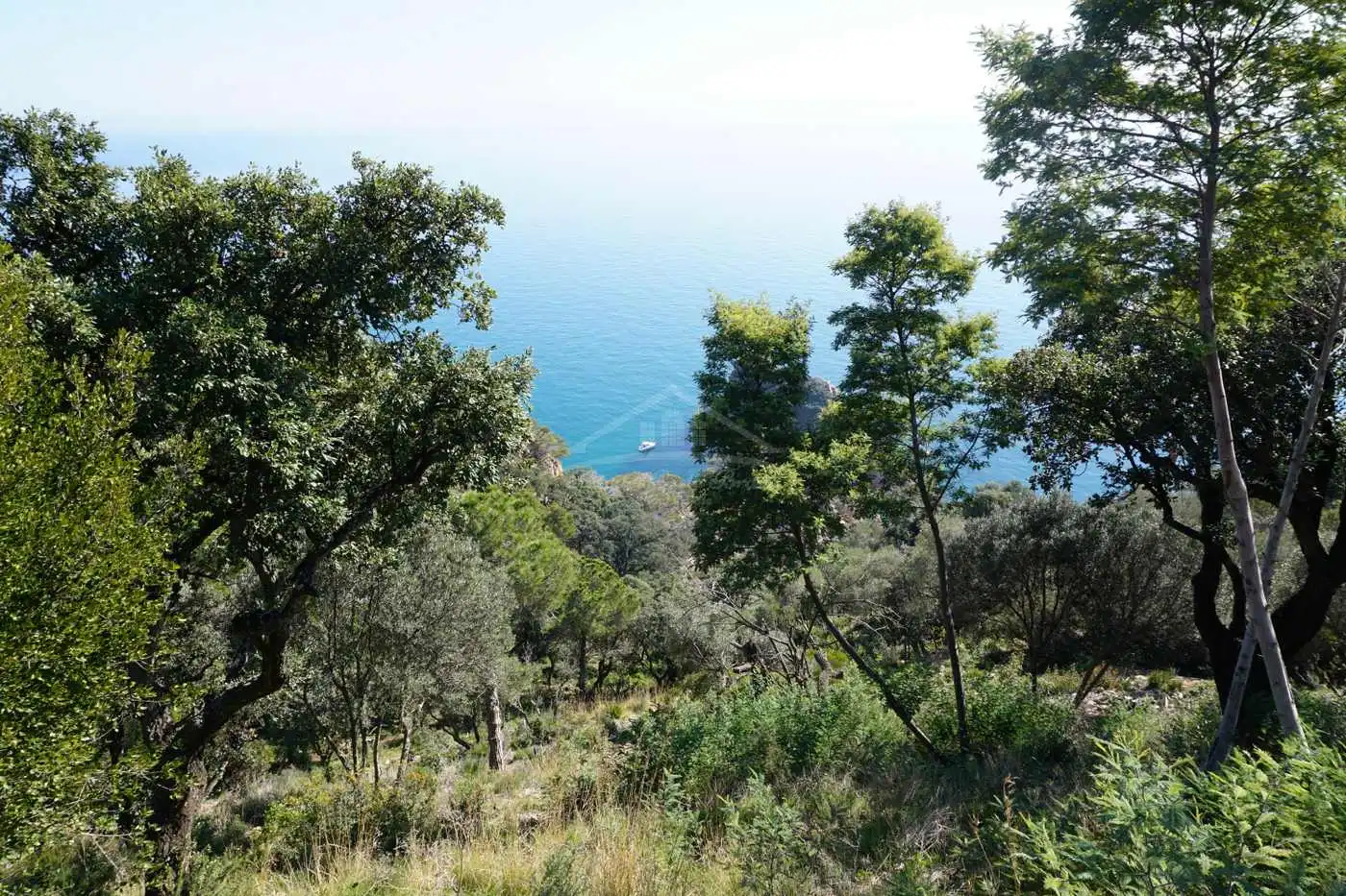 Wohnbaugrundstück zum Verkauf in Eixample, imagen 8