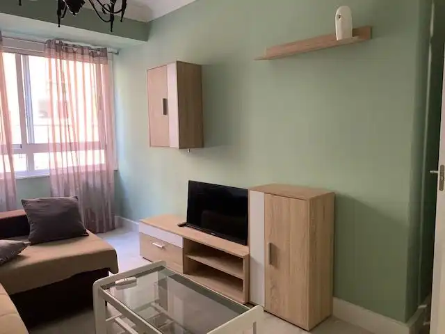 Living room of Flat for rent in Ferrol  with Heating, Parquet flooring and Terrace