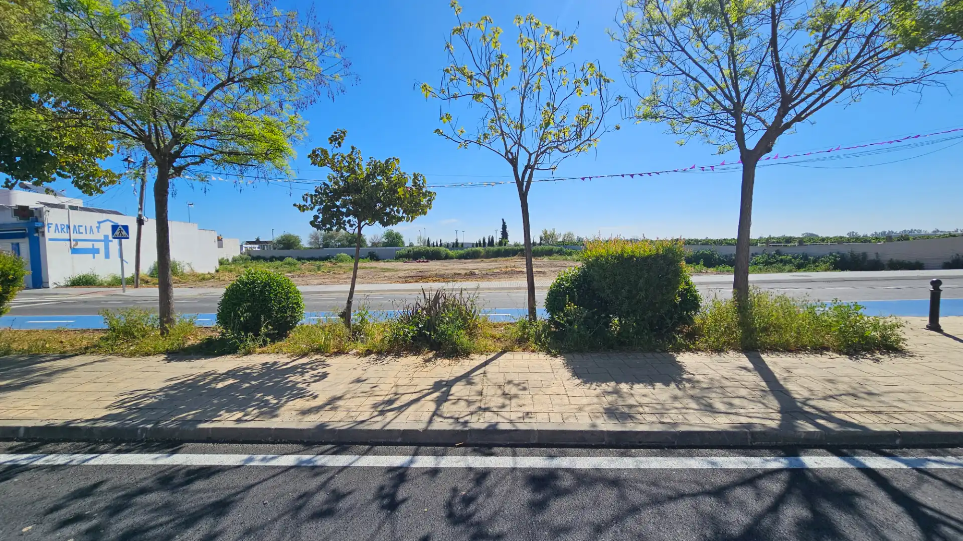 Appartamento con terrazza in vendita a Camino Aral 74, imagen 34