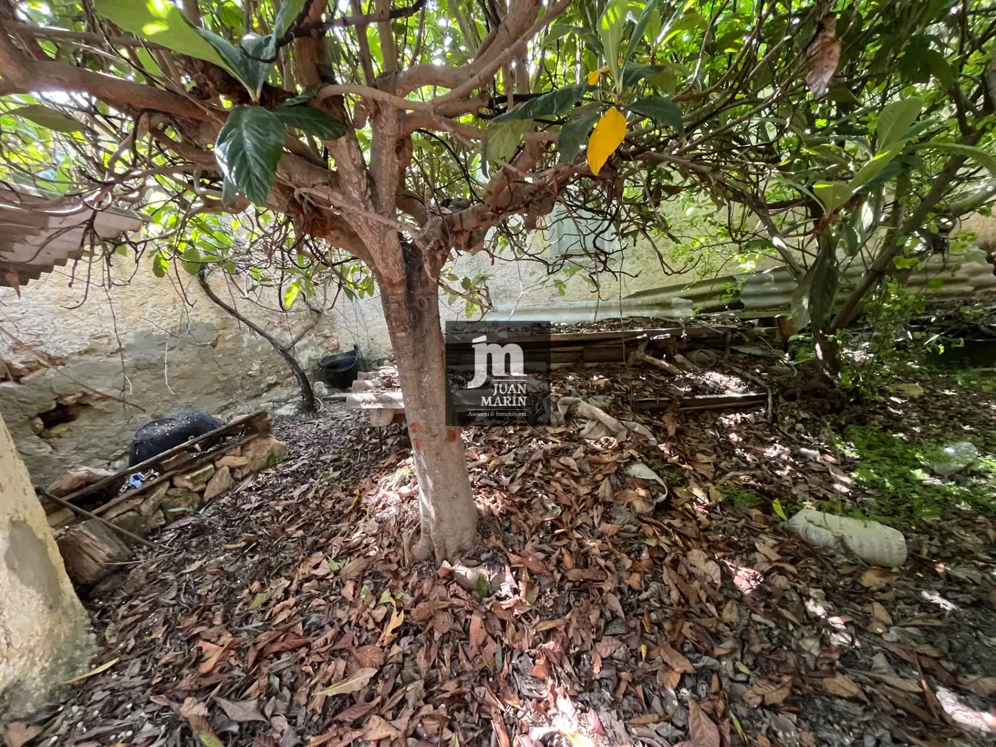 Finca rústica en venda en Pozohondo