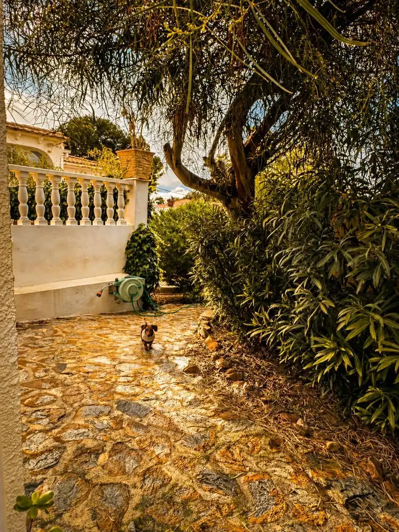 Jardí de Residencial en venda en L'Alfàs del Pi
