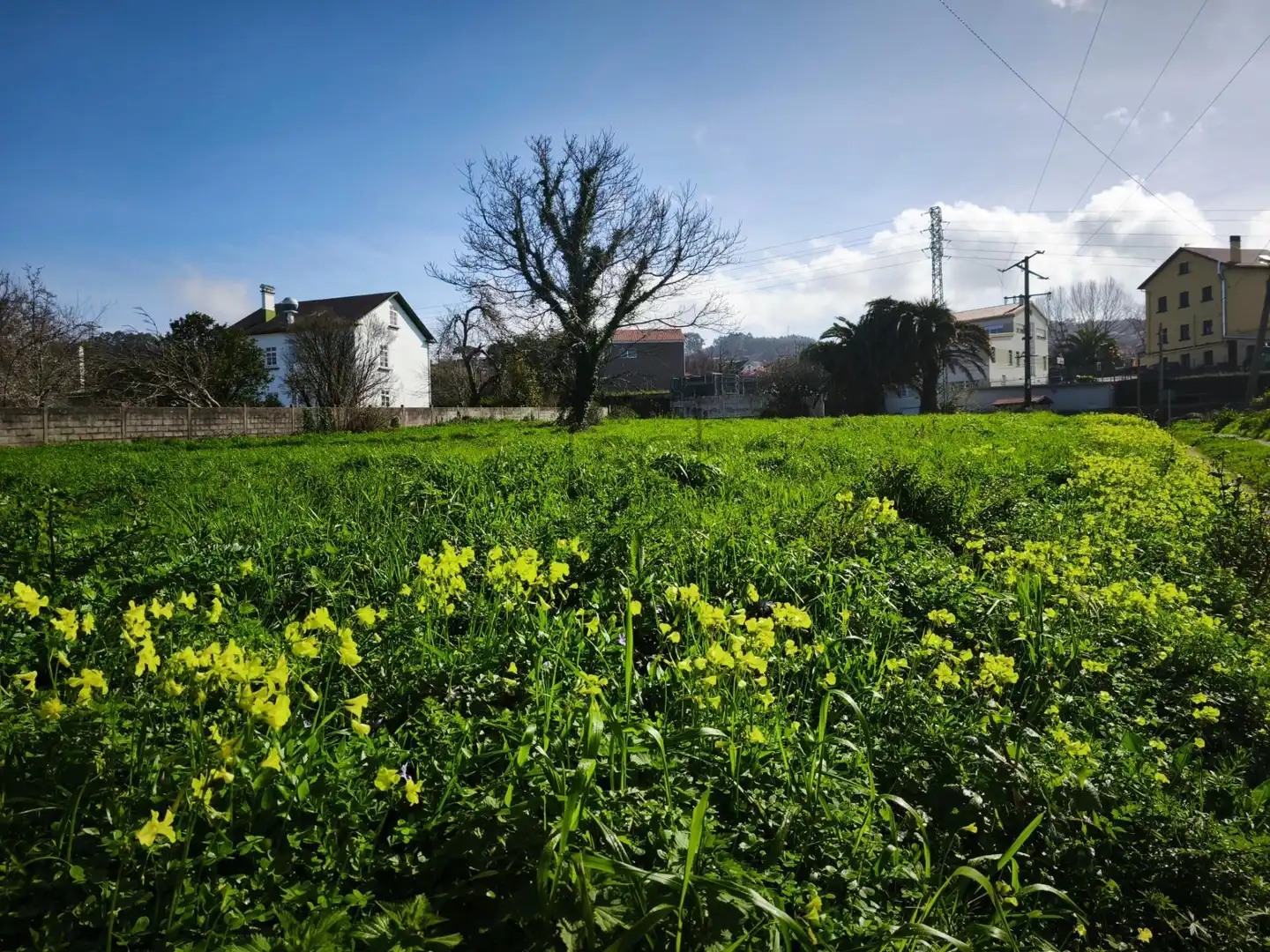 Residencial en venda en Fene