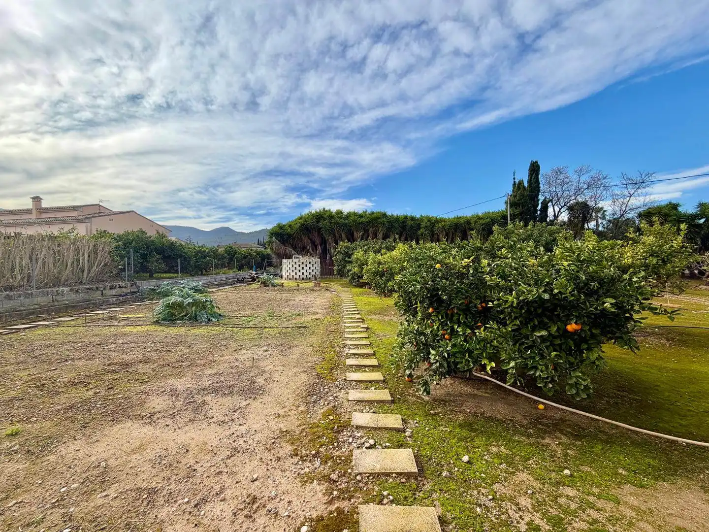 Detached house with terrace for sale in Pedreguer, imagen 23
