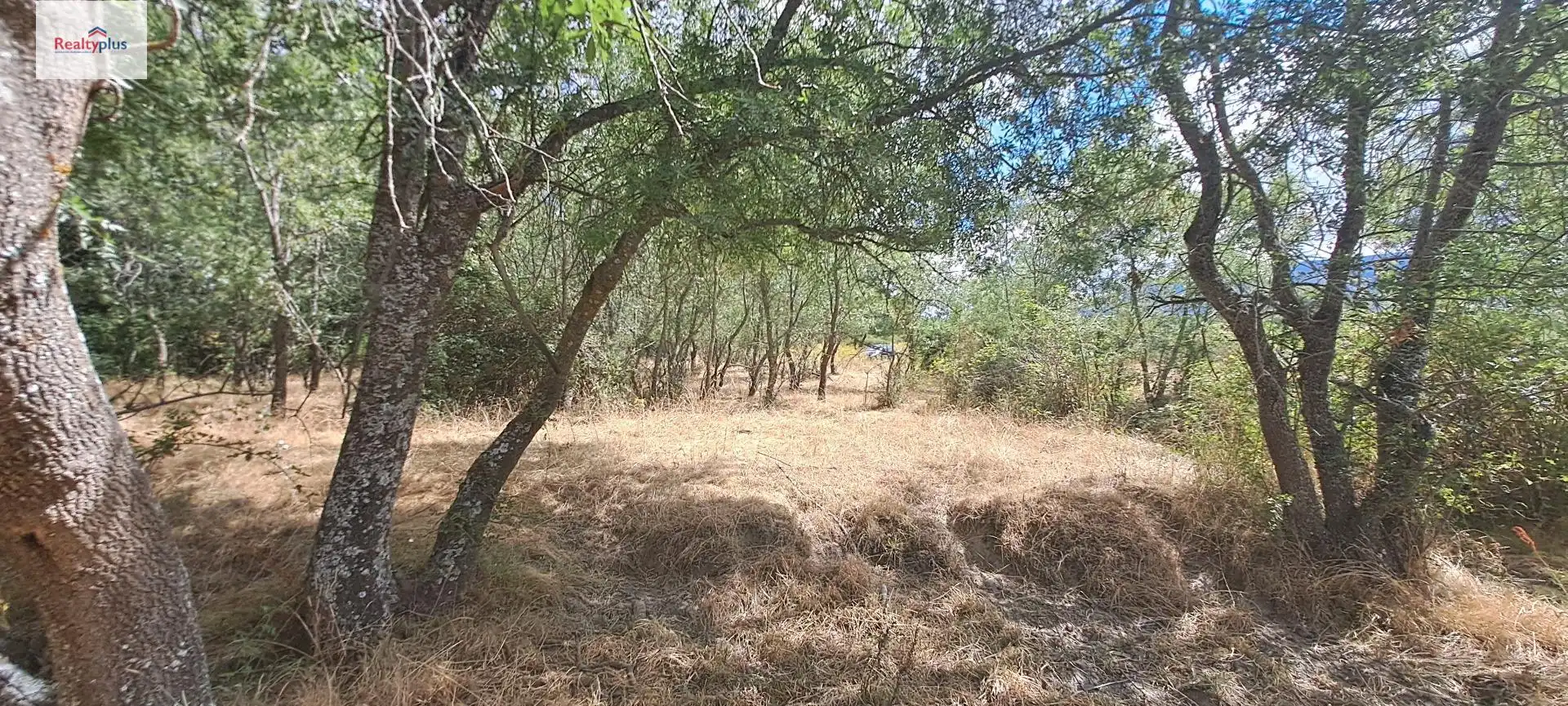 Terreni e lotti in vendita a Sotosalbos, imagen 7