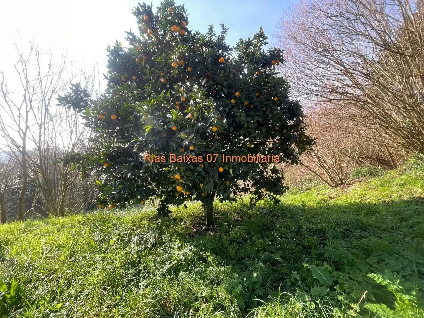 Casa amb jardí en venda a Mos, imagen 24