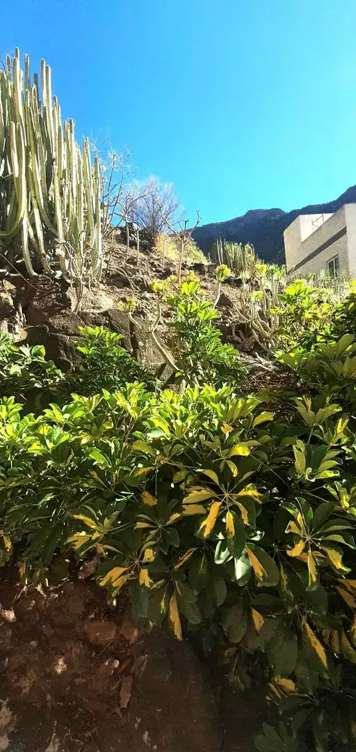 Exterior view of Residential for sale in Santa Cruz de Tenerife