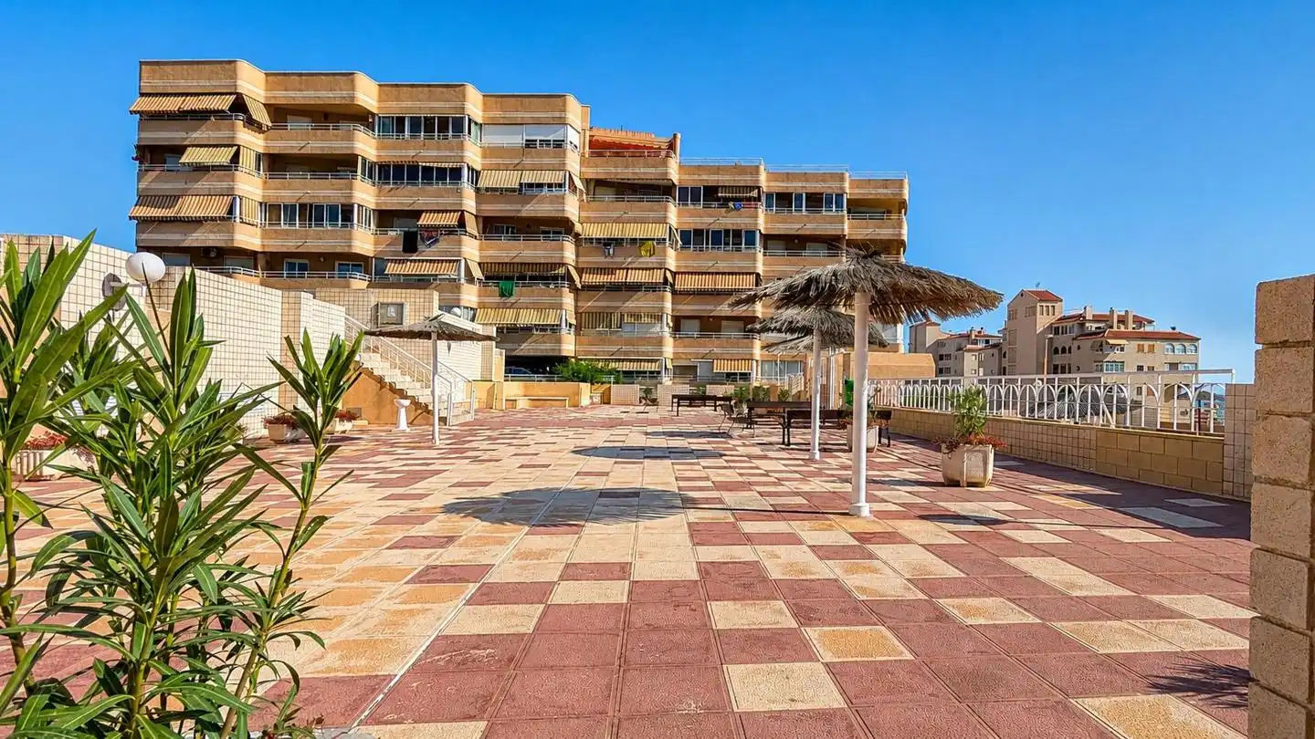 Exterior view of Detached homes for sale in Elche / Elx  with Terrace, Storage room and Swimming Pool