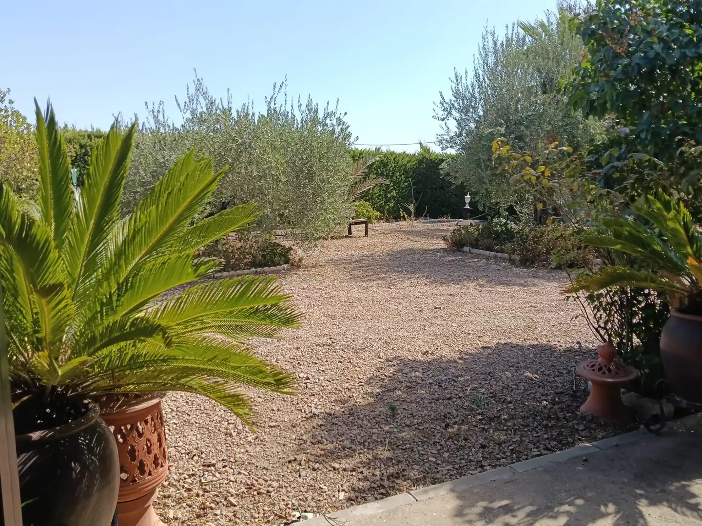 Jardí de Casa o xalet en venda en Almendralejo amb Aire condicionat, Calefacció i Jardí privat
