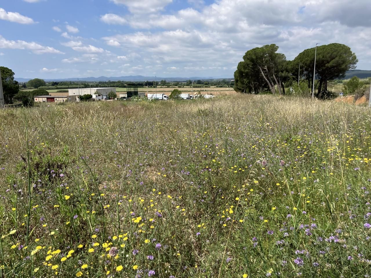 Industrial land for sale in  Esganyadora, Riells