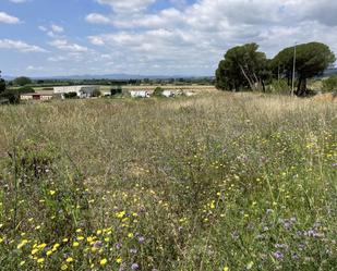 Terreny industrial en venda a  Esganyadora, Riells