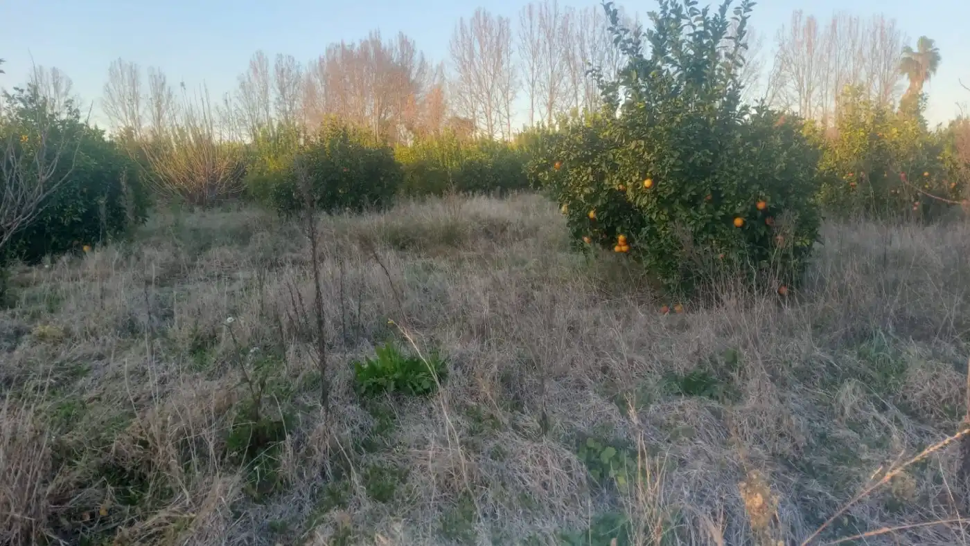 Terreny residencial en venda a Centro, imagen 6