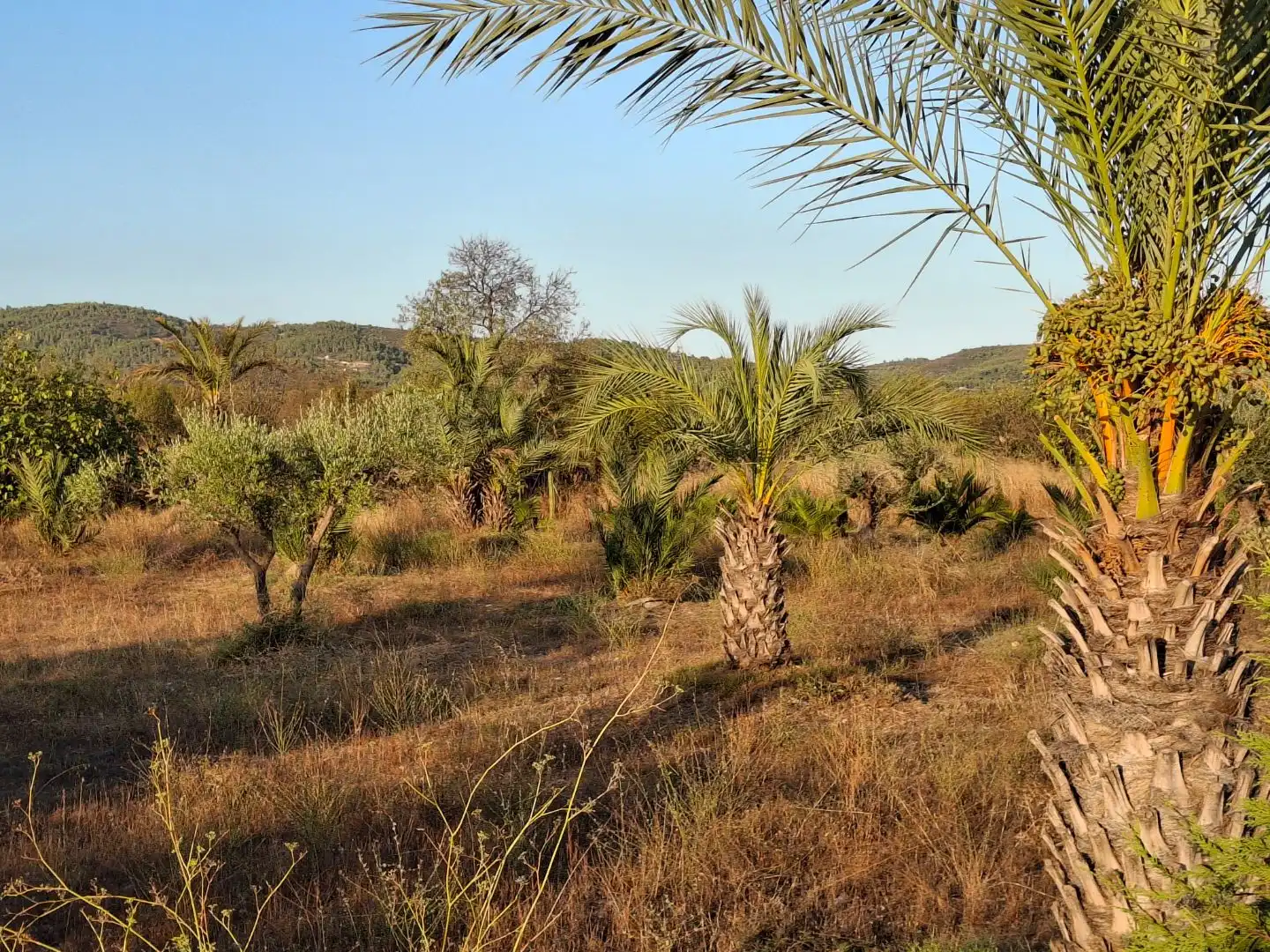 Flat for sale in Useras /  Les Useres  with Air Conditioner, Private garden and Storage room