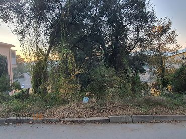 Terreno residenziale in vendita a Vallgorguina