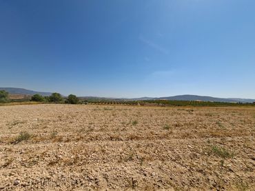 Terreny residencial en venda a El Pinós / Pinoso