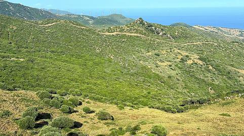 Photo 5 of Building for sale in El Cuartón - El Bujeo, Tarifa