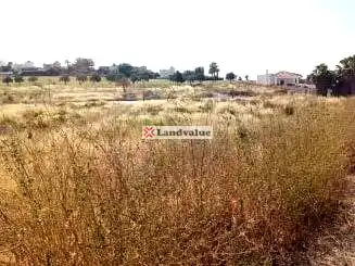 Terrenys i solars en venda a SUP-MM-1 'LOMA DE MARTIN MIGUEL', imagen 3