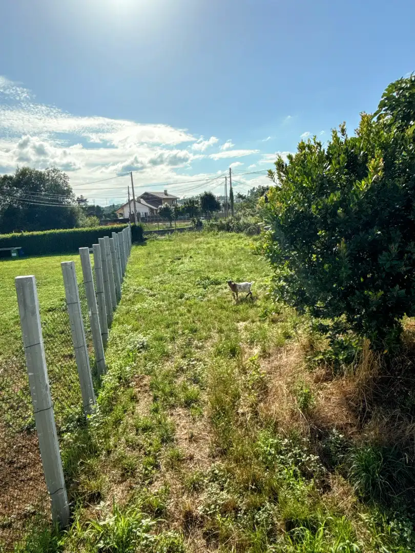 Casa o xalet en venda en Carballo amb Terrassa