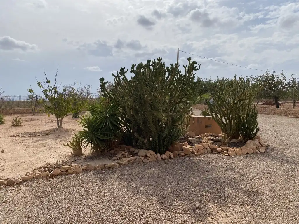 Detached homes for sale in Balsapintada - El Estrecho