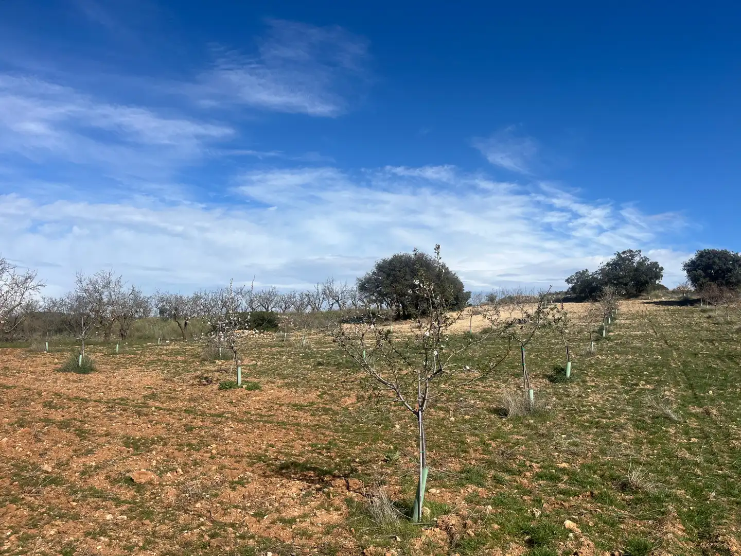 Rustikales Grundstück zum Verkauf in Camino de la Sierra, imagen 12