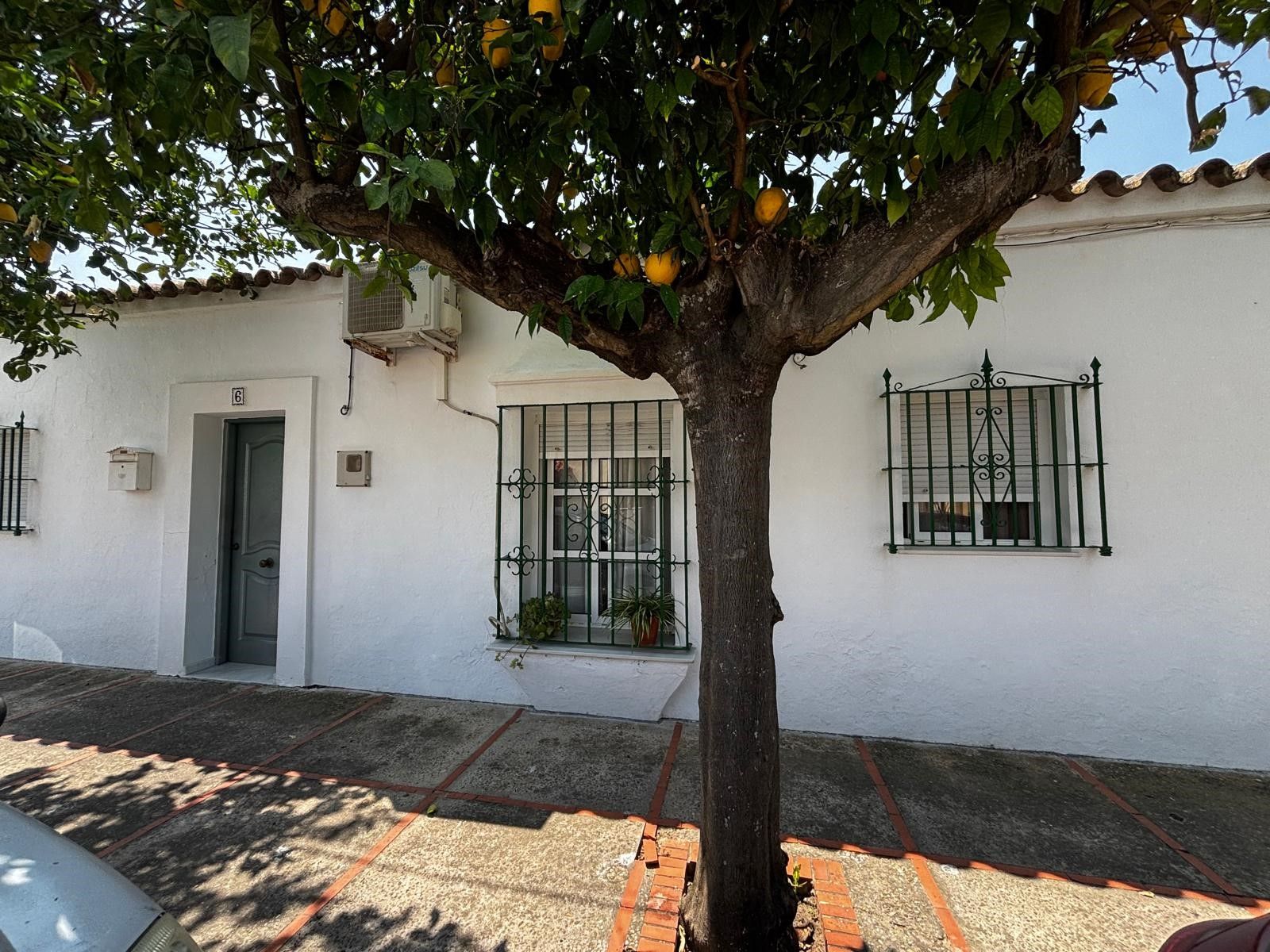 Vista exterior de Casa o chalet en venta en Jerez de la Frontera con Terraza