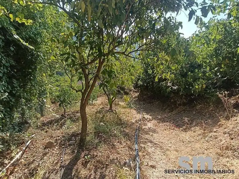Residential land for sale in Grazalema, imagen 17