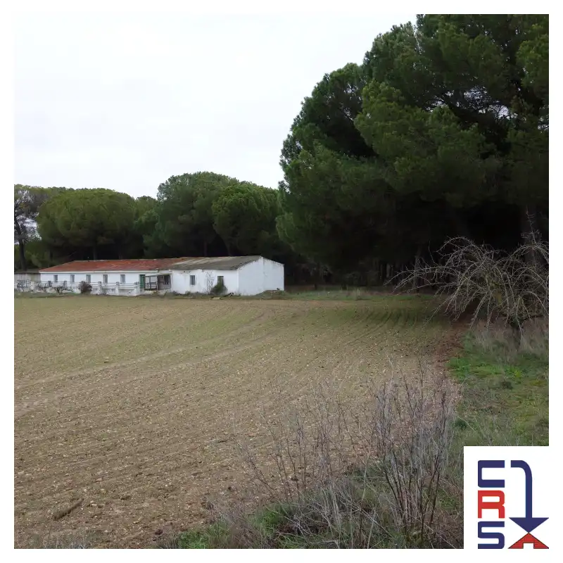 Terreno rustico in vendita a Tudela de Duero, imagen 2