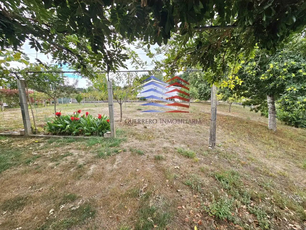 Casa o xalet en venda en Celanova amb Jardí privat i Terrassa