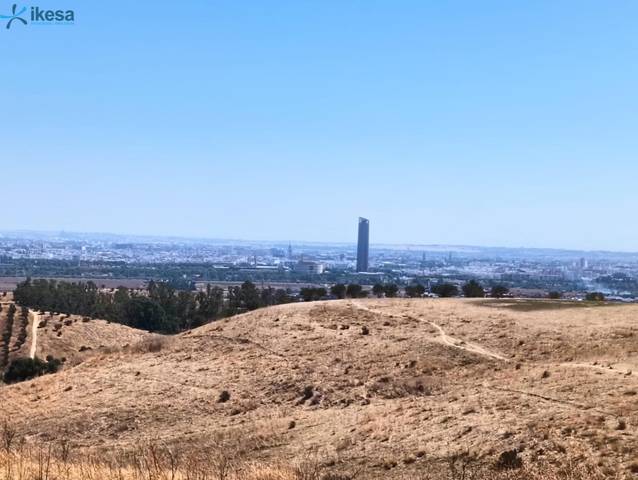 Terreno en Venta en Castilleja de Guzmán
