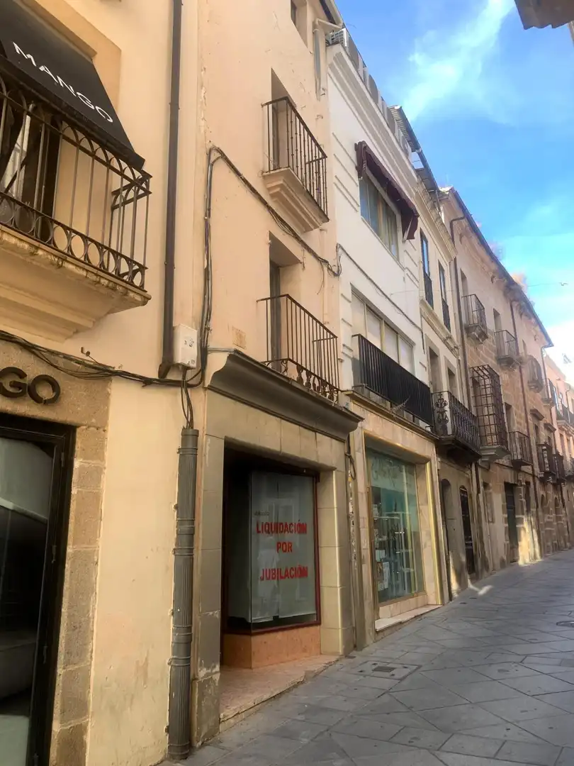 Exterior view of Houses for sale in Centro Ciudad