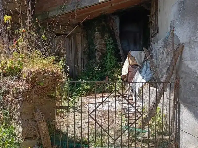Finca rústica en venda en Tineo