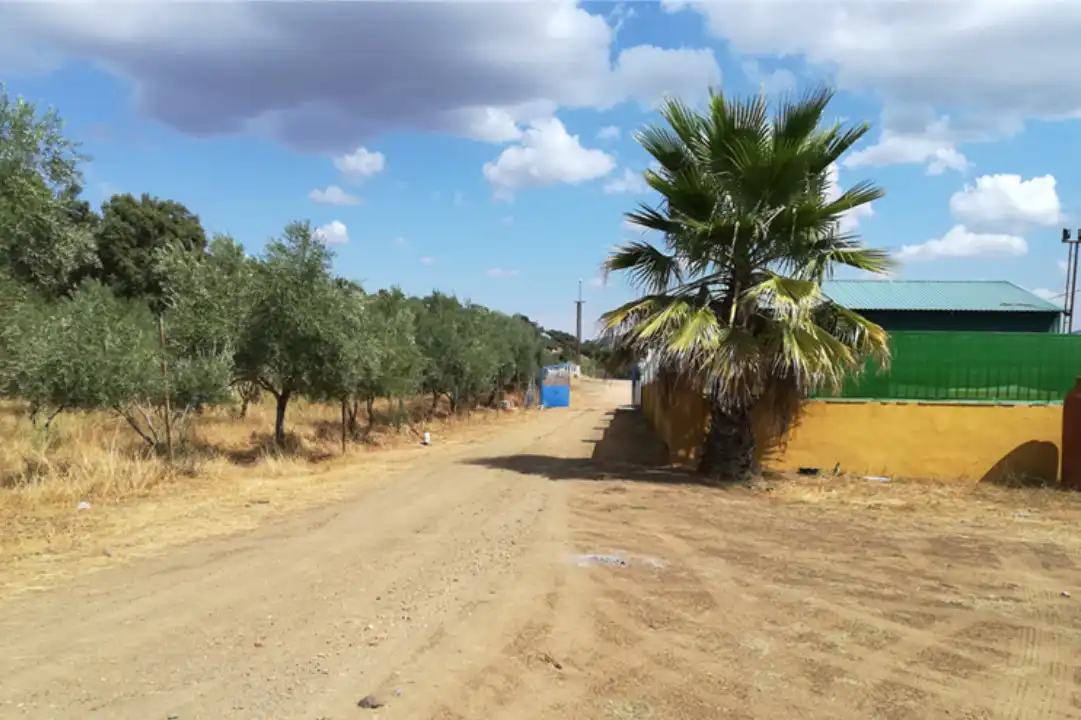 Terreno en venta en Zona Centro