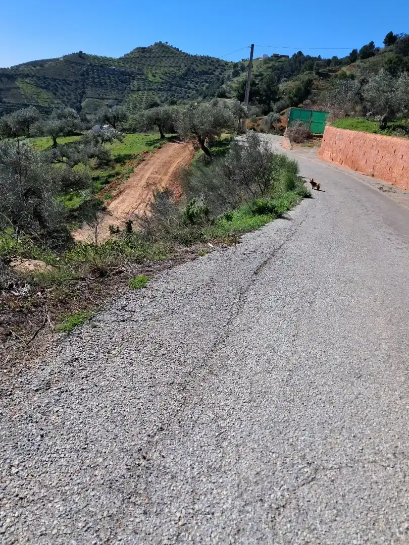 Vista exterior de Finca rústica en venda en Almuñécar amb Traster, Moblat i Forn