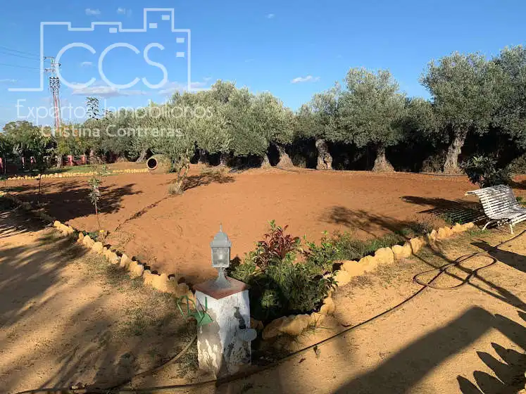 Jardín de Finca rústica en venta en Alcalá de Guadaira con Piscina y Amueblado