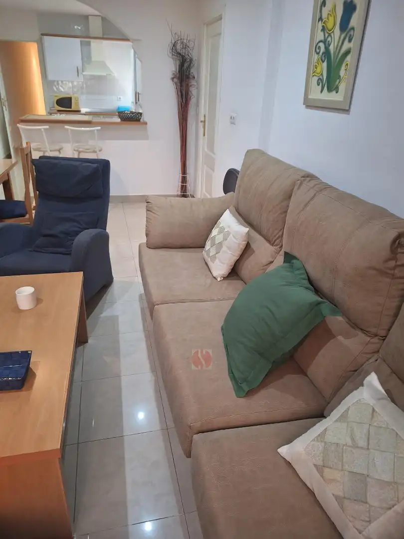 Living room of Flat for sale in Granada  with Heating and Furnished