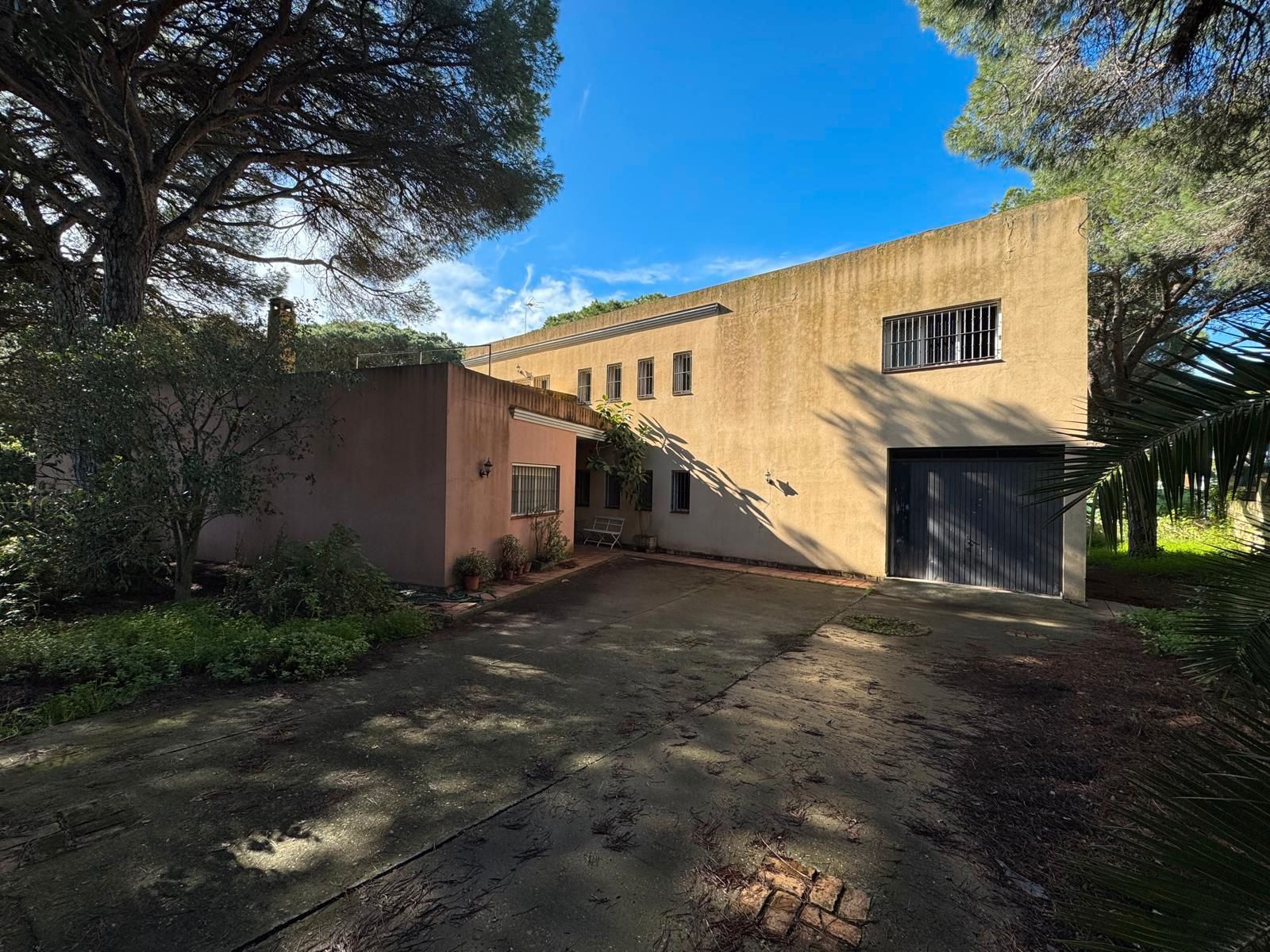 Vista exterior de Casa o chalet en venta en Chiclana de la Frontera con Jardín privado, Terraza y Trastero