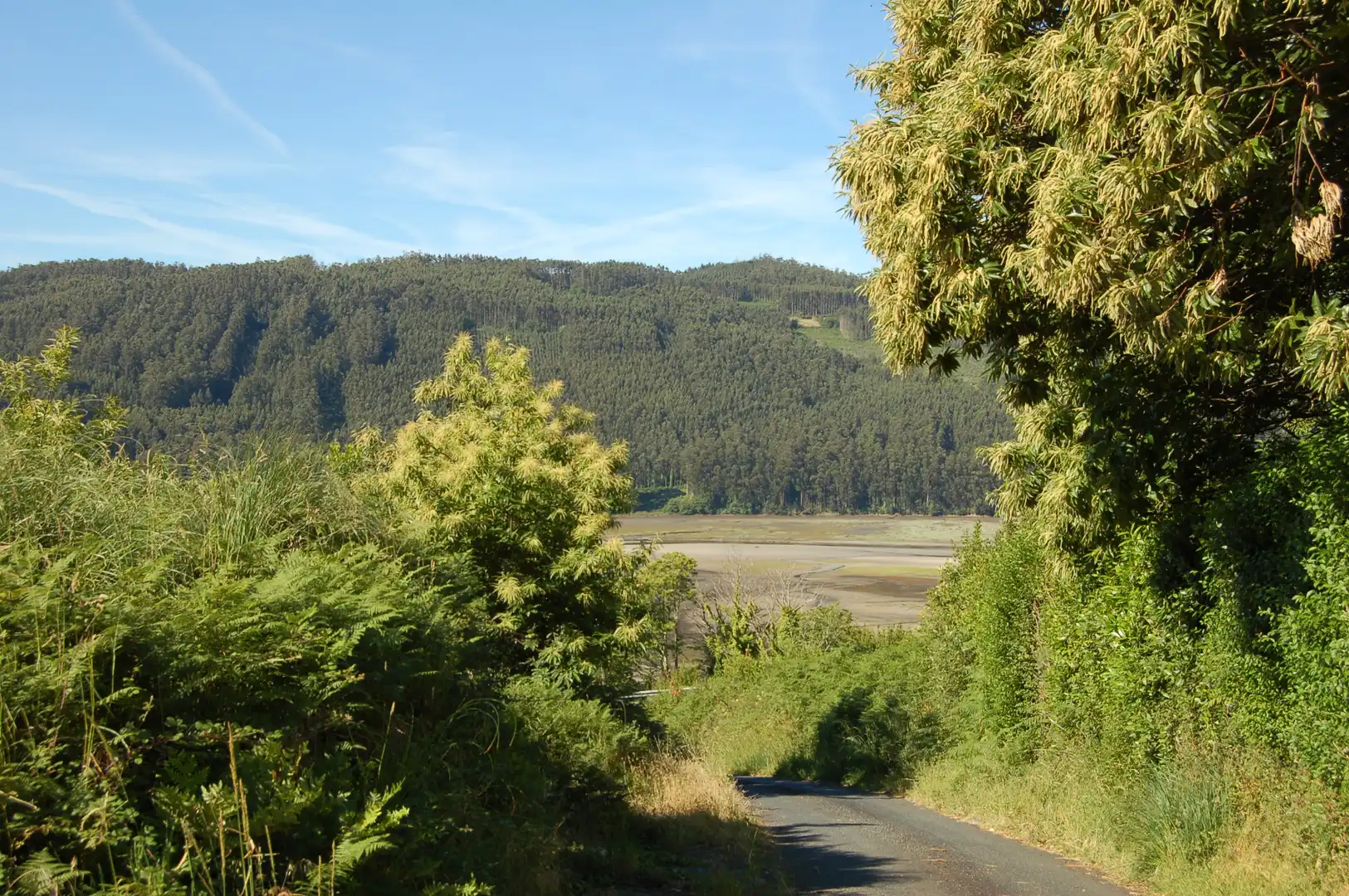 Grundstücke und Bauplätze zum Verkauf in Lugar Campo Cruz 57, imagen 6
