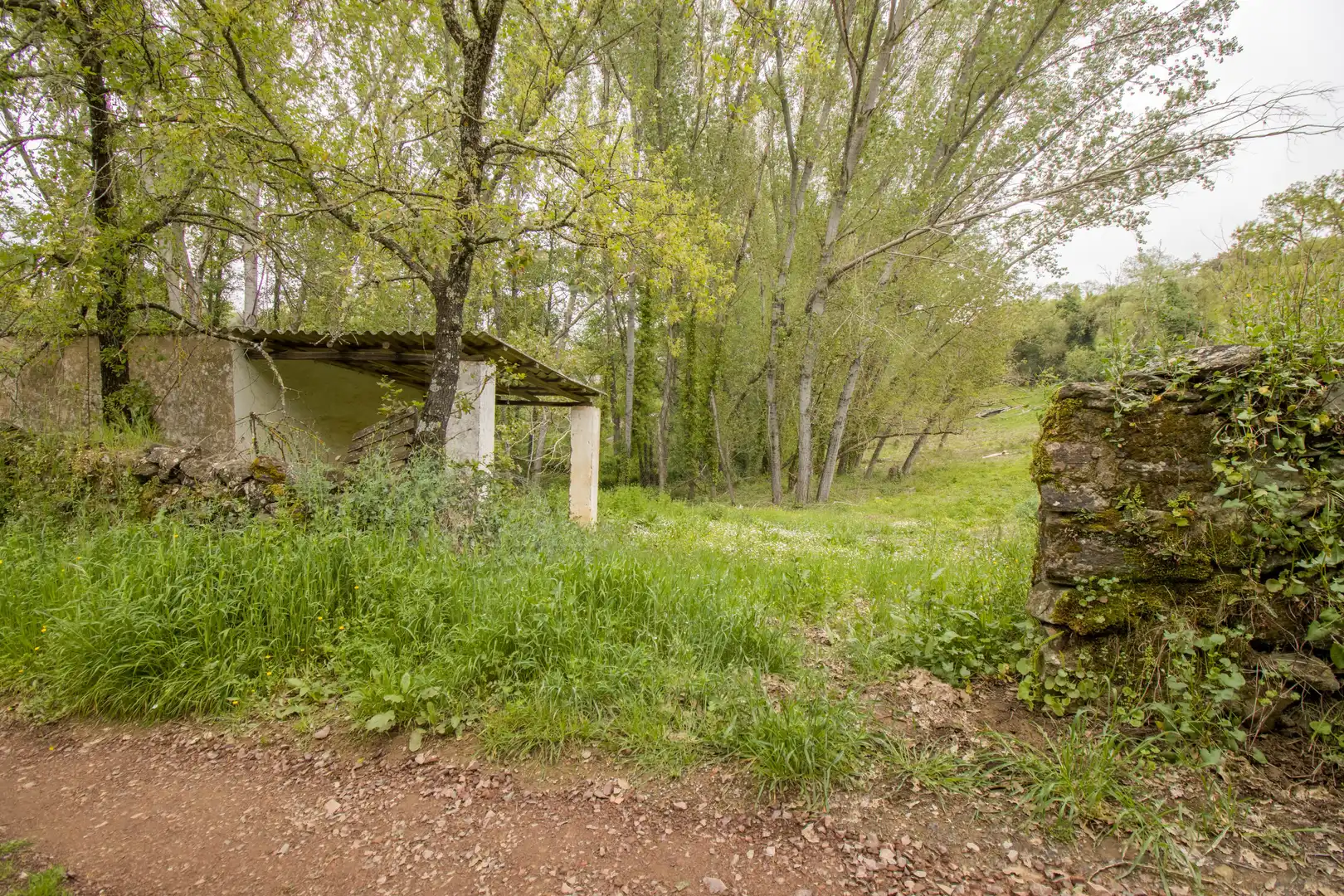 Terreni e lotti in vendita a Galaroza