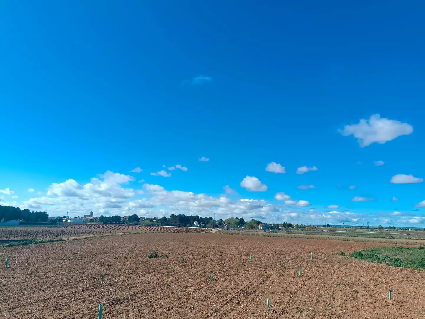 Residencial en venta en El Toboso