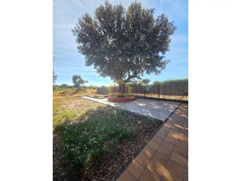 Casa o xalet en venda en Buenavista